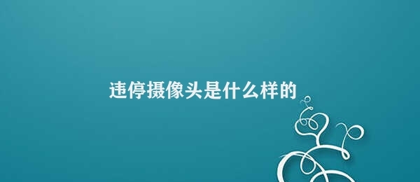 违停摄像头是什么样的 违停摄像头的功能及用途