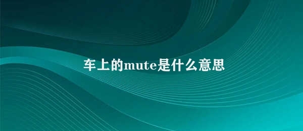 车上的mute是什么意思 汽车中的Mute功能