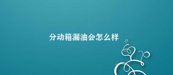 分动箱漏油会怎么样（分动箱漏油的危害及预防措施）