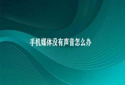 手机媒体没有声音怎么办（手机媒体无声这些方法帮你解决）