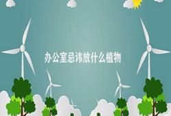 办公室忌讳放什么植物（办公室不适合放什么植物）