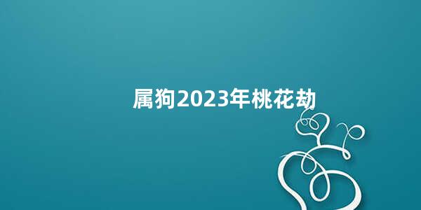 属狗2023年桃花劫