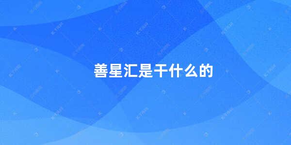 善星汇是干什么的