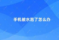 手机被水泡了怎么办（如何处理手机进水问题）