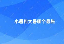 小暑和大暑哪个最热（夏季节气小暑和大暑的热度如何）