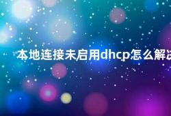 本地连接未启用dhcp怎么解决（如何启用本地连接的DHCP功能）