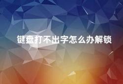 键盘打不出字怎么办解锁（如何解决键盘无法输入的问题）