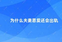 为什么夫妻恩爱还会出轨（夫妻恩爱为何还会出轨）