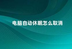 电脑自动休眠怎么取消（取消电脑自动休眠的方法）