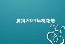 属狗2023年桃花劫（2023年属狗的感情运势如何）