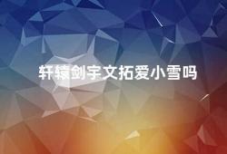 轩辕剑宇文拓爱小雪吗（轩辕剑宇文拓与小雪的爱情故事）