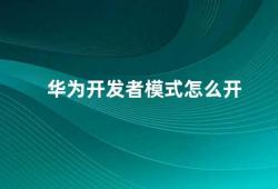 华为开发者模式怎么开（华为手机开发者模式的开启方法）