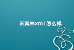 米其林xm1怎么样（米其林XM1一款性价比不错的轮胎）