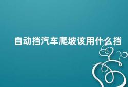 自动挡汽车爬坡该用什么挡（自动挡汽车爬坡应该如何选择挡位）