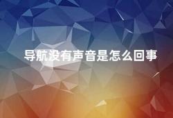 导航没有声音是怎么回事（为什么导航没有声音）