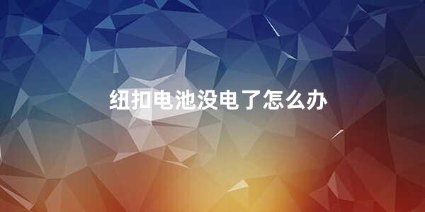 纽扣电池没电了怎么办