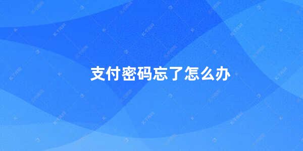 支付密码忘了怎么办