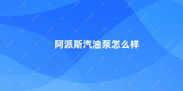 阿派斯汽油泵怎么样