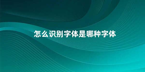 怎么识别字体是哪种字体