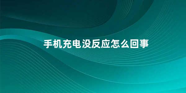 手机充电没反应怎么回事