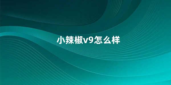 小辣椒v9怎么样