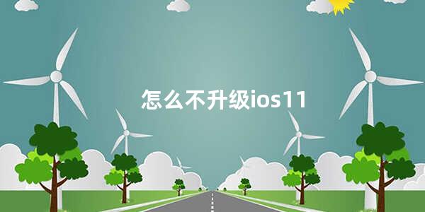 怎么不升级ios11