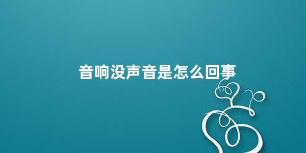 音响没声音是怎么回事