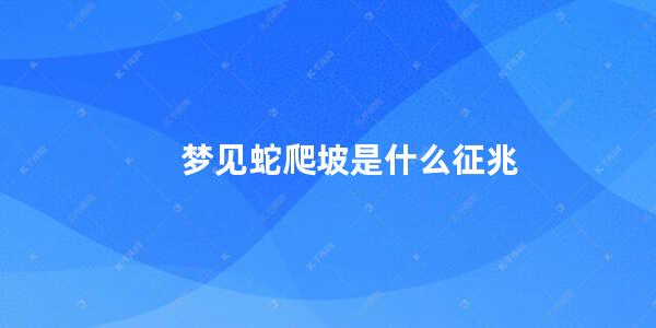 梦见蛇爬坡是什么征兆