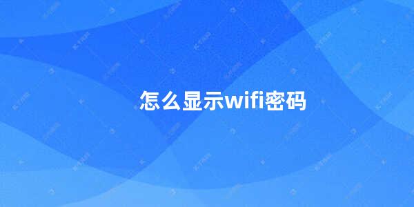 怎么显示wifi密码