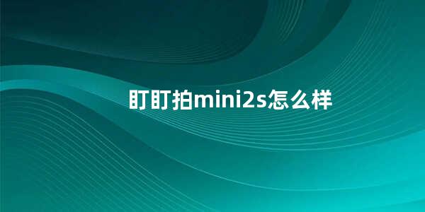 盯盯拍mini2s怎么样