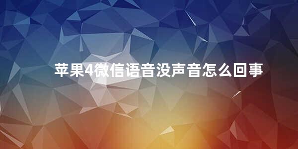 苹果4微信语音没声音怎么回事