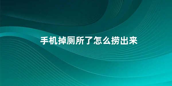 手机掉厕所了怎么捞出来