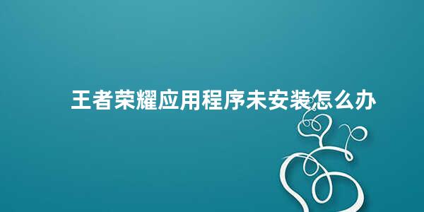 王者荣耀应用程序未安装怎么办