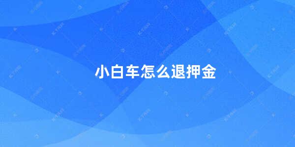 小白车怎么退押金