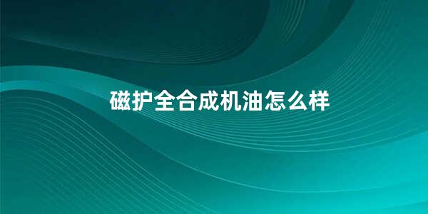 磁护全合成机油怎么样