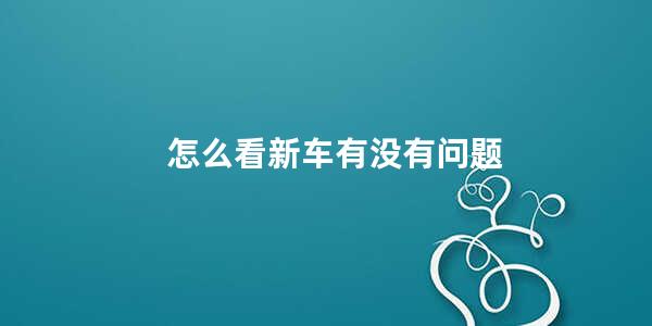 怎么看新车有没有问题