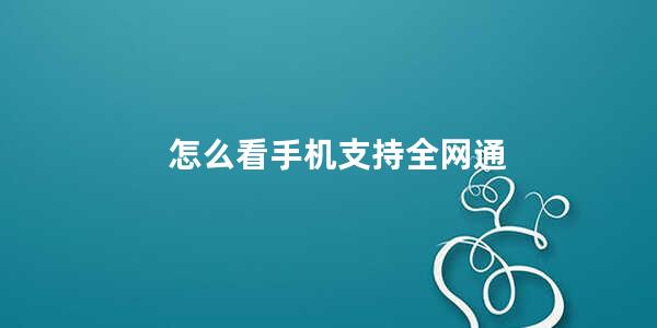 怎么看手机支持全网通