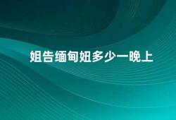 姐告缅甸妞多少一晚上（如何避免在旅游中遇到危险情况）