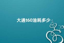 大通t60油耗多少（大通T60油耗解析）