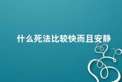 什么死法比较快而且安静（如何选择安静快速的死法）