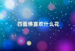 四面佛喜欢什么花（四面佛的喜好与拜祭）