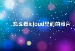 怎么看icloud里面的照片（如何在iCloud中查看照片）