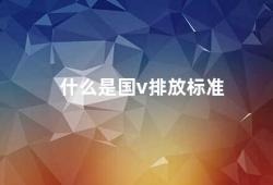 什么是国v排放标准（国V排放标准的意义）