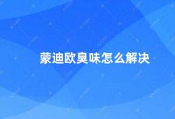 蒙迪欧臭味怎么解决（如何有效解决汽车内异味问题）