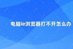 电脑ie浏览器打不开怎么办（电脑IE浏览器无法打开网页的解决方法）