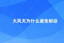 大风天为什么避免制动（大风天行车注意事项）