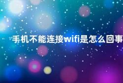 手机不能连接wifi是怎么回事（手机无法连接WiFi的原因及解决方法）