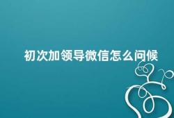 初次加领导微信怎么问候（初次加领导微信如何恰当问候）