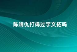 陈靖仇打得过宇文拓吗（陈靖仇与宇文拓武术实力的较量）