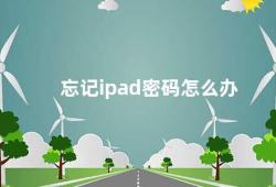 忘记ipad密码怎么办（忘记iPad密码别慌这几招帮你解决）